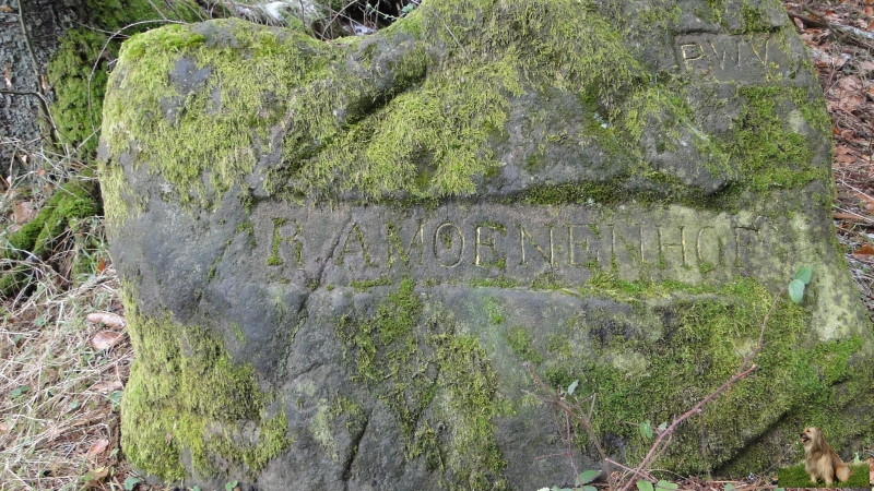 Ritterstein Nr. 124-1  R. Amoenenhof.JPG - Ritterstein Nr.124   R. Amoenenhof                               
